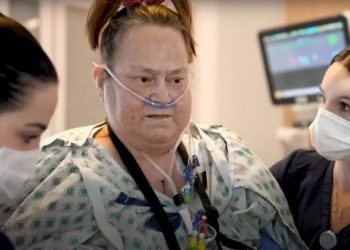 Fallece Lisa Pisano, primera persona en recibir un transplante de cerdo