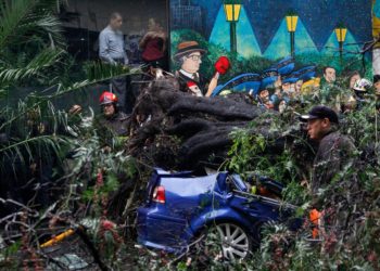 Mujer pierde la vida y su bebé es rescatado tras caer un árbol sobre su auto por fuertes lluvias en CDMX