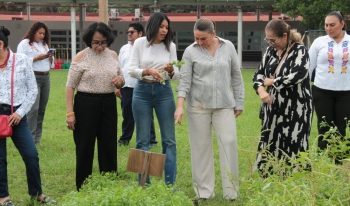 Anuncia DIF Tabasco Proyecto de Reforestación del Parque Tabasco