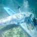 Cae avioneta al mar frente a Cozumel; hay una persona desaparecida