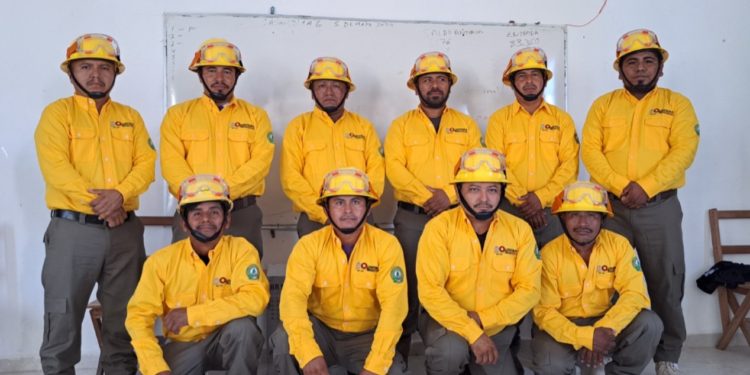 Concluye Temporada de Incendios Forestales en Quintana Roo: SEMA