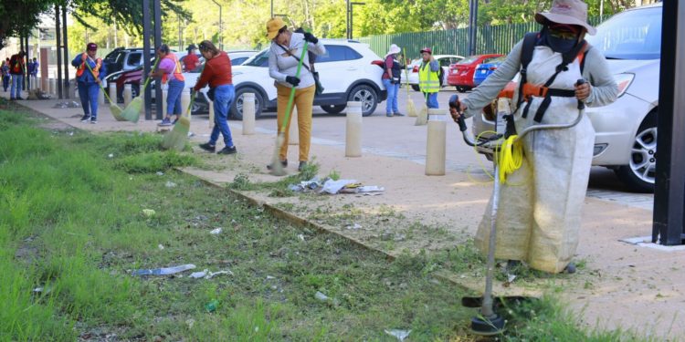 Jornada Integral de Limpieza en Mayito y Tulipanes con participación ciudadana