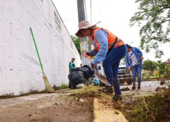 El Ayuntamiento de Centro lleva a cabo una jornada de limpieza en Gaviotas Norte