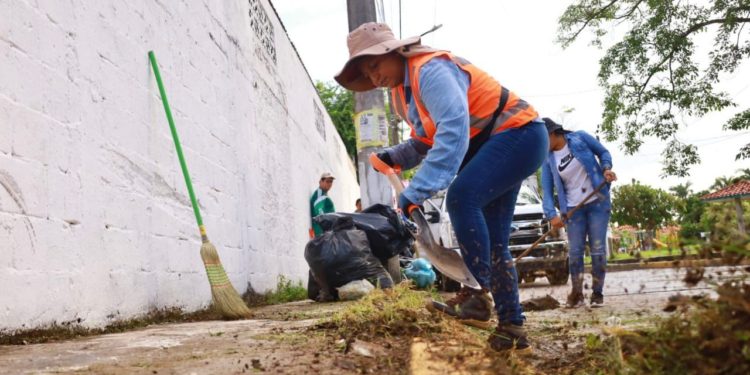 El Ayuntamiento de Centro lleva a cabo una jornada de limpieza en Gaviotas Norte