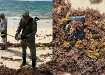 Guardia Nacional asegura paquete de droga en las costas de Cozumel