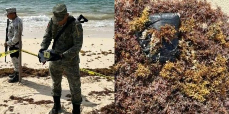 Guardia Nacional asegura paquete de droga en las costas de Cozumel