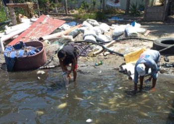 Denuncian mortandad de peces en Isla Andrés García de Paraíso