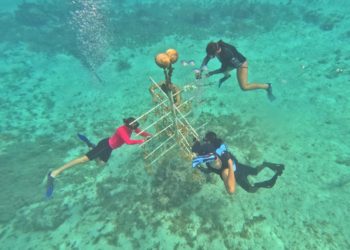 La Fundación de Parques y Museos involucra a la juventud en la conservación de los corales en Chankanaab