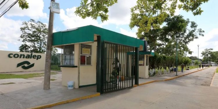 ITAIP ordena al CONALEP Tabasco informar sobre robos de 2019 a 2024