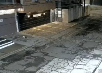 Bebé cae desde el primer piso, sin que sus padres se dieran cuenta en Puebla