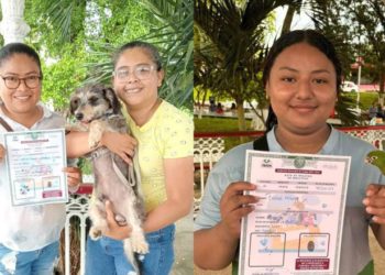 Teapa realiza registro de animales de compañía: Desde perritos hasta loros