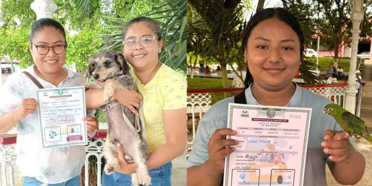 Teapa realiza registro de animales de compañía: Desde perritos hasta loros