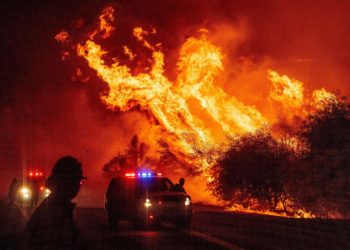 Incendio forestal se extiende a gran velocidad en el norte de California