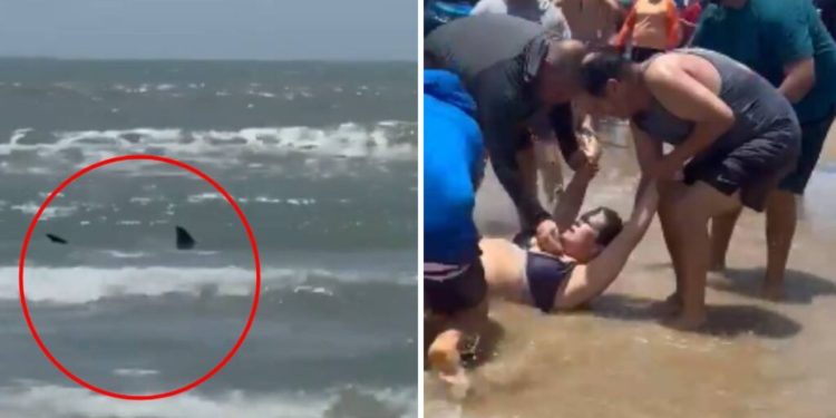 Tiburón ataca a bañistas en Isla del Padre, Texas