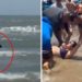 Tiburón ataca a bañistas en Isla del Padre, Texas