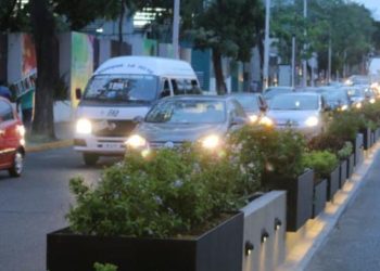 Plantean arquitectos proyecto para remover jardineras de Paseo Tabasco