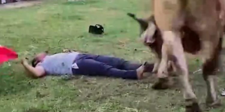 Toro pisa a un joven durante toreada en Tucta, Nacajuca