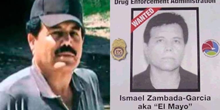 ‘El Mayo’ Zambada habría sido engañado por el FBI para viajar a Texas
