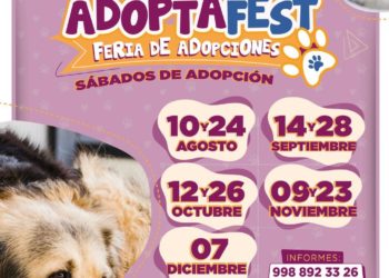 Exhortan gobierno de BJ a adoptar mascotas de forma responsable
