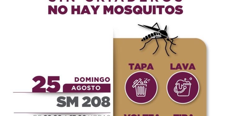 Invita gobierno de BJ a participar en la eliminación de macrotiraderos