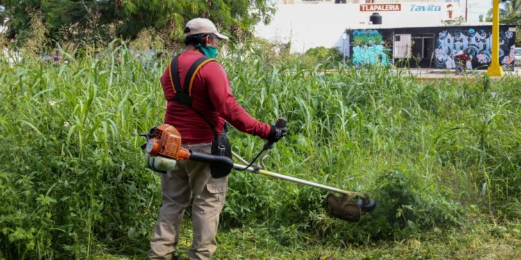 Intensifica Ana Paty Peralta trabajos de servicios públicos en la ciudad