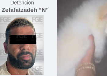 Capturan al presunto responsable de lanzar a un perro del octavo piso en Puerto Cancún