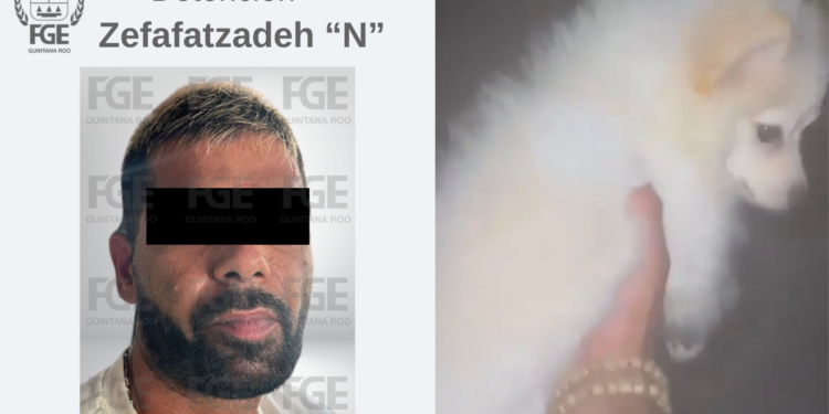 Capturan al presunto responsable de lanzar a un perro del octavo piso en Puerto Cancún