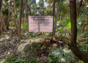 AGEPRO actúa para proteger el patrimonio de las y los quintanarroenses en Costa Maya