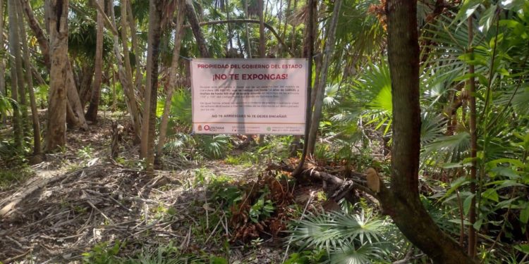 AGEPRO actúa para proteger el patrimonio de las y los quintanarroenses en Costa Maya