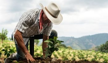 Se fortalecen sectores primarios con acciones precisas en beneficio de productores: Sedafop