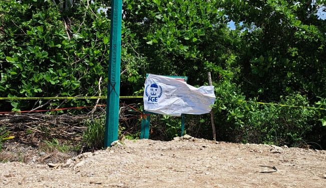 AGEPRO protege el patrimonio de las y los quintanarroenses con acciones contundentes en Cozumel