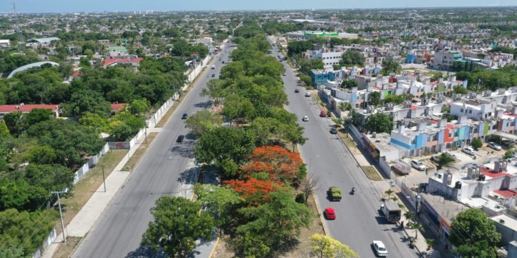 AGEPRO impulsa alternativas creativas para la conservación del Parque de la Equidad