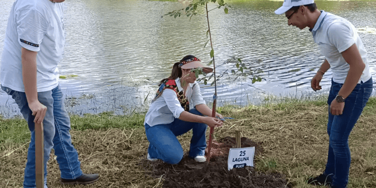 Invita DIF Tabasco a la segunda fase de Reforestab en el Parque Dora María