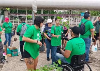 Ambientalistas siembran 22 nuevos árboles frente al Parque Tabasco
