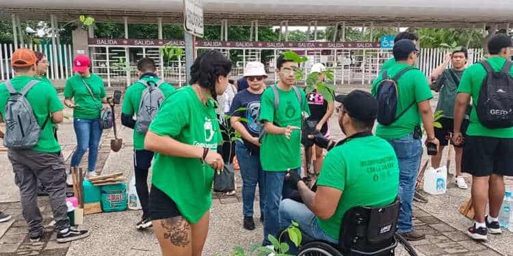 Ambientalistas siembran 22 nuevos árboles frente al Parque Tabasco