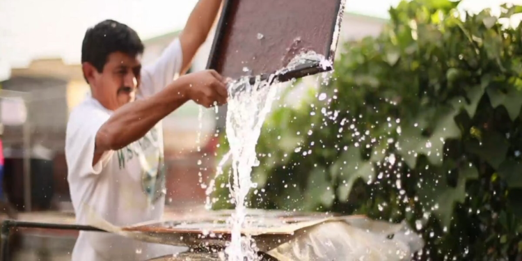 Participación ciudadana es clave para combatir el dengue