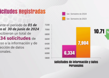 Reducción significativa en solicitudes de acceso a la información pública en primer semestre del 2024: ITAIP