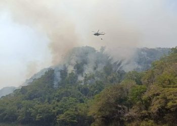 Incendios afectan 50 mil hectáreas en Tabasco entre 2023 y 2024: Comesfor