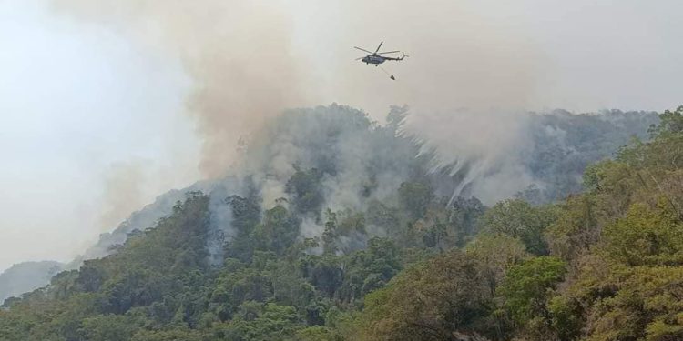 Incendios afectan 50 mil hectáreas en Tabasco entre 2023 y 2024: Comesfor