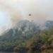 Incendios afectan 50 mil hectáreas en Tabasco entre 2023 y 2024: Comesfor