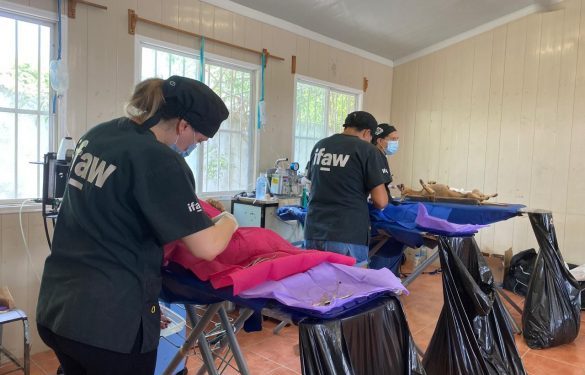 Quintana Roo, pionero a nivel nacional en establecer bases para garantizar el bienestar de los animales