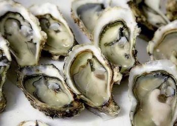 Llaman a no consumir ostión crudo y tapesco en Paraíso por presencia de coliformes fecales