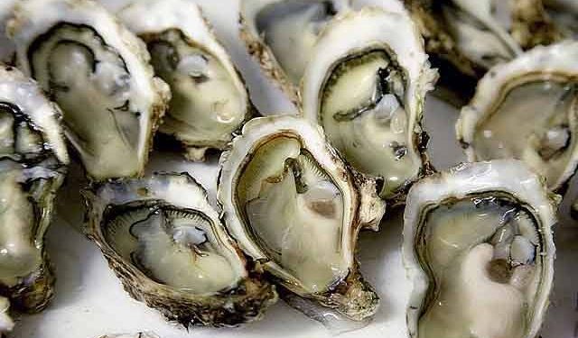 Llaman a no consumir ostión crudo y tapesco en Paraíso por presencia de coliformes fecales