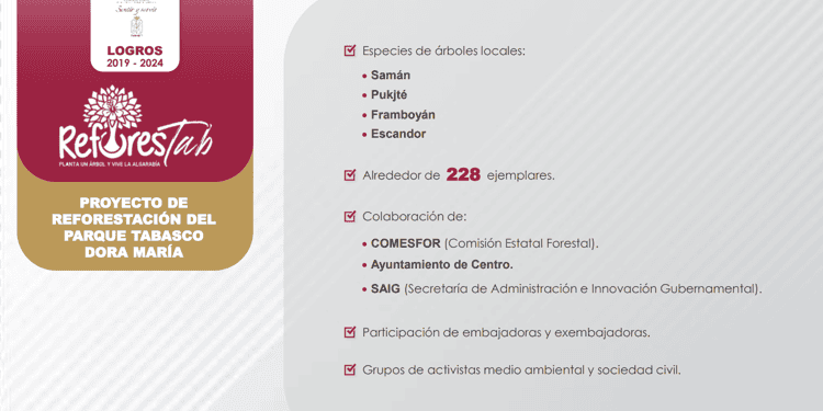 DIF Tabasco anunciará segunda fase de reforestación del Parque Tabasco