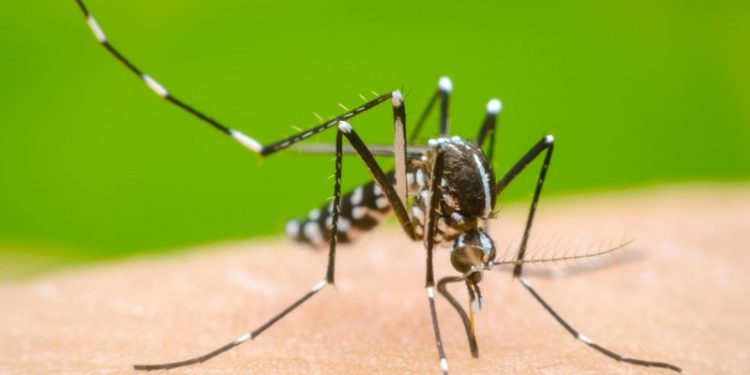 Tabasco, segundo lugar nacional en casos de dengue y tercer lugar en muertes