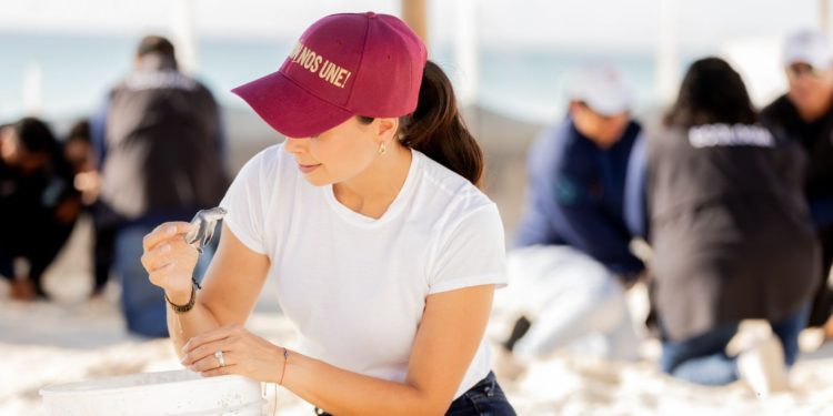 Garantiza Ana Paty Peralta protección de tortugas marinas