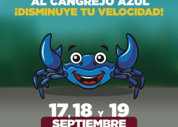 Gobierno de BJ invita a cuidar del cangrejo azul