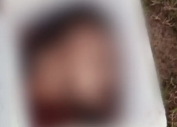 Localizan cráneo humano en cultivos de caña en Cunduacán