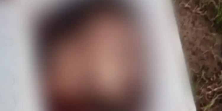 Localizan cráneo humano en cultivos de caña en Cunduacán