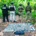Aseguran 500 dosis de drogas en operativo en Comalcalco
